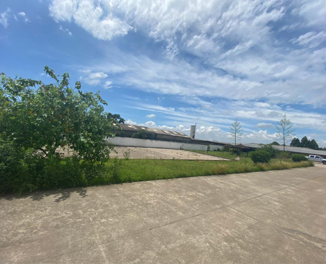 fabricação de facas industriais Rosa Santos